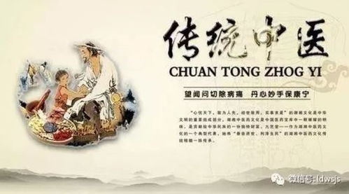 玄门医圣——传统医学的智慧与魅力