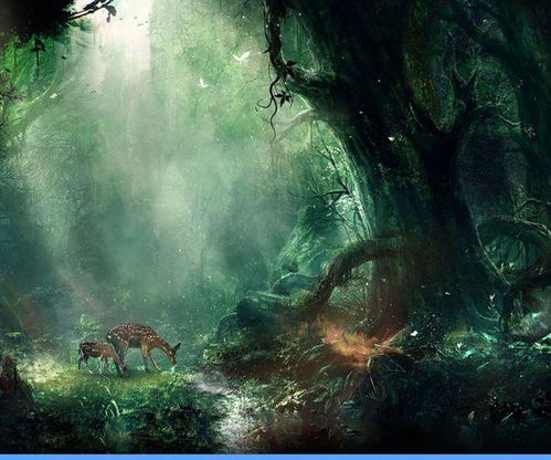 林深不见鹿——探寻自然之秘