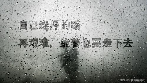 寒门骄子——四十六集励志人生