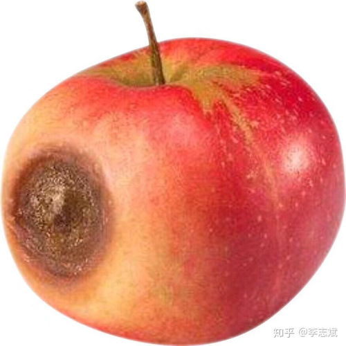 发霉橘子在二手平台卖到近600元 发霉橘子在二手平台卖到近600元