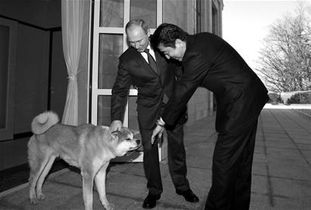 普京:乌克兰像抓狗一样在街头征兵