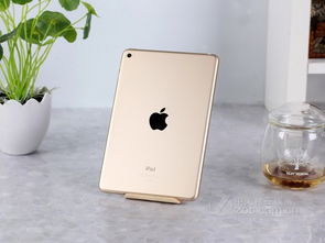 iPad Mini 4 处理器与苹果11 Pro Max处理器的性能对比