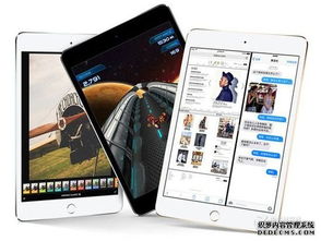 iPad Mini 4 处理器与苹果11 Pro Max处理器的性能对比