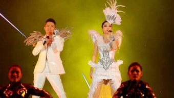 凤凰传奇北京演唱会观众破纪录(凤凰传奇北京演唱会观众破纪录，音乐盛宴掀起热潮)