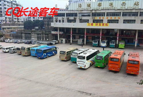 重庆涪陵有多少汽车 重庆涪陵有多少汽车