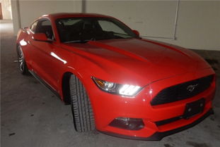 野马汽车全国多少网点