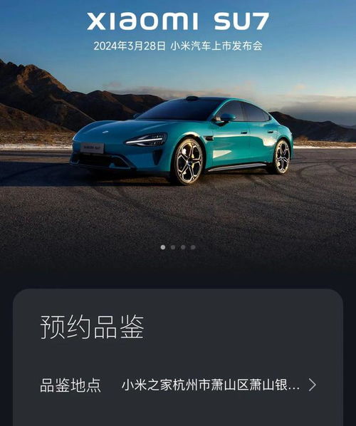 小米汽车法国卖多少