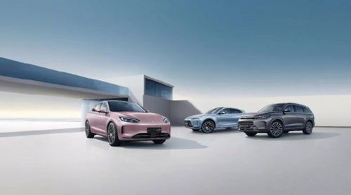 问界汽车投入多少