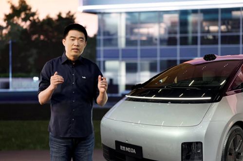 理想汽车教授年薪多少