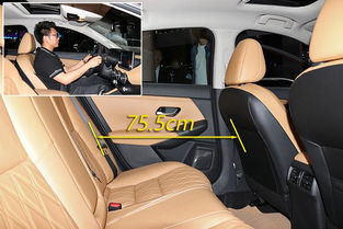 汽车后座空间能有多少