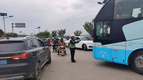 洋县有多少台汽车