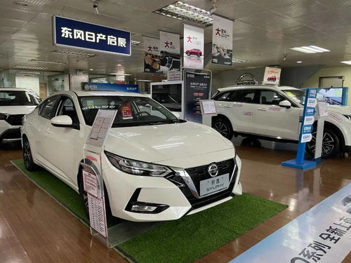 汽车今年涨价多少了