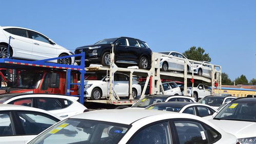 汽车托运有多少坑