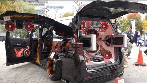 数数小汽车有多少