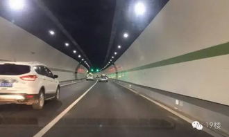 汽车在市内限速多少