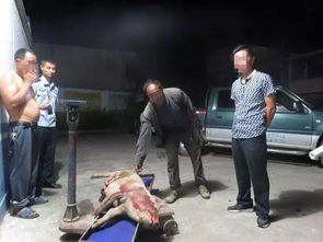 汽车撞家畜赔偿多少