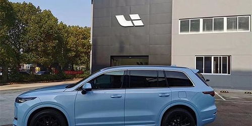 广东有多少理想汽车