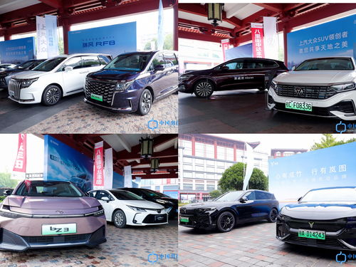 庐江汽车租赁价格多少