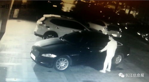 汽车泡水多少天内报案 汽车泡水多少天内报案