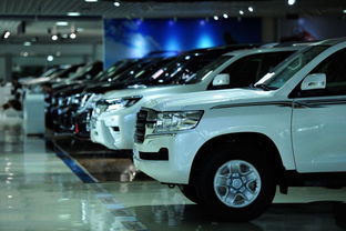 新国标 汽车 价格多少 新国标 汽车 价格多少