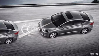 泰兴有多少量汽车 泰兴有多少量汽车