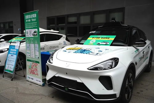 你能看到多少汽车