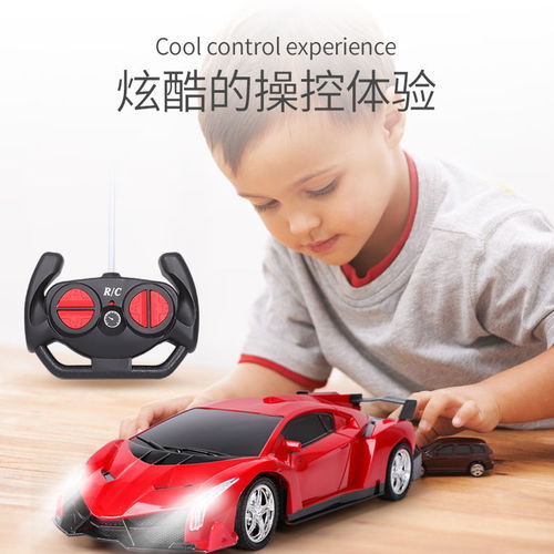 遥控小汽车有多少