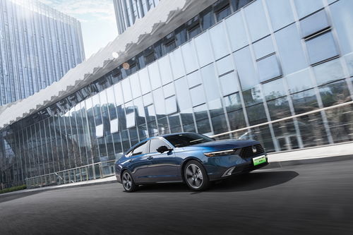 庞大汽车有多少员工