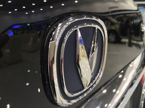 长安汽车拥有多少粉丝