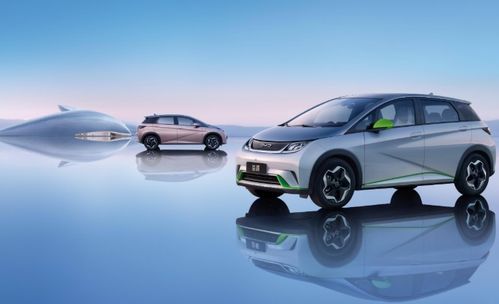 海豚汽车预定了多少 海豚汽车预定了多少