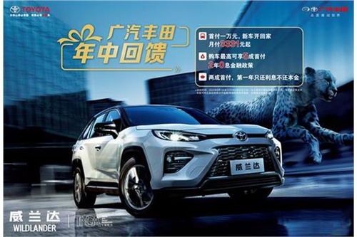 1元汽车首付多少