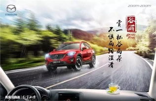 金马牌汽车油耗多少