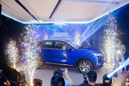 越南有多少汽车店铺