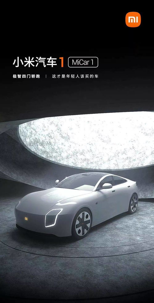 小米汽车粉丝数量多少