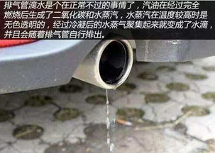 汽车排气含多少镍 汽车排气含多少镍