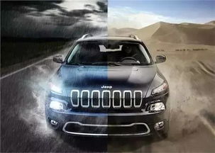 汽车侠有多少种