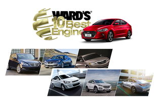 汽车多少排量看哪里