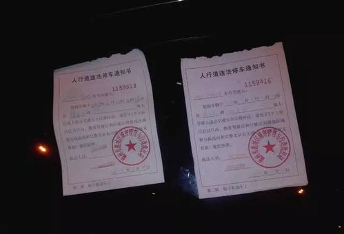 每年汽车交多少罚单