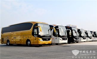 沙特有多少辆汽车