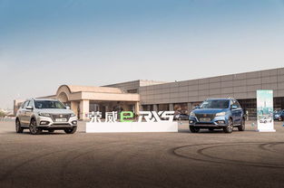 上海汽车报废收费多少