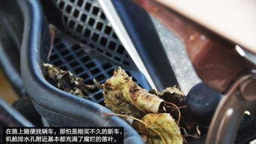 汽车排水孔深度多少