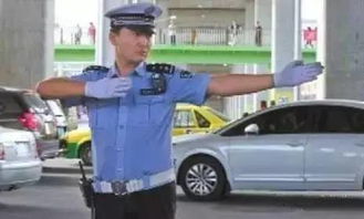 新疆汽车限速多少公里