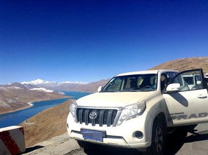 扶桑汽车多少钱 扶桑汽车多少钱