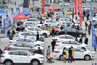 楚雄汽车多少钱