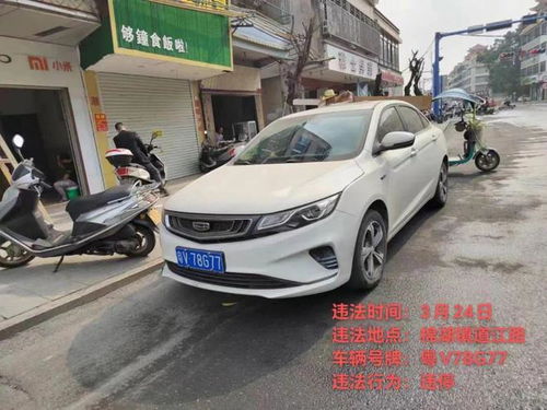 揭阳汽车有多少辆