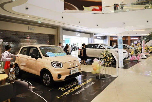 温州汽车总量是多少 温州汽车总量是多少