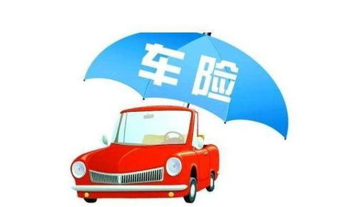 汽车不买保险罚款多少