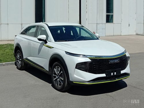 神兽汽车多少钱