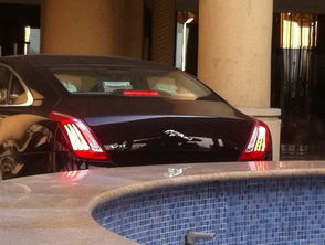 汽车jaguar多少钱 汽车jaguar多少钱