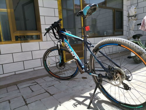 捷安特汽车多少钱 捷安特汽车多少钱